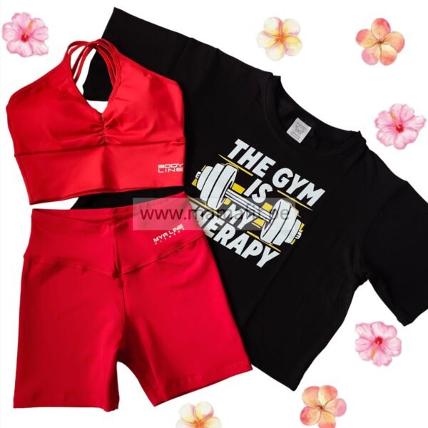 Conjunto gym therapy